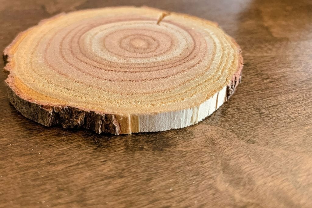 An image of rough bark wood slices