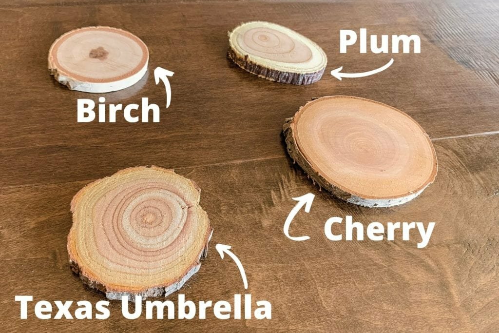 An image of tree branches for making wood slices