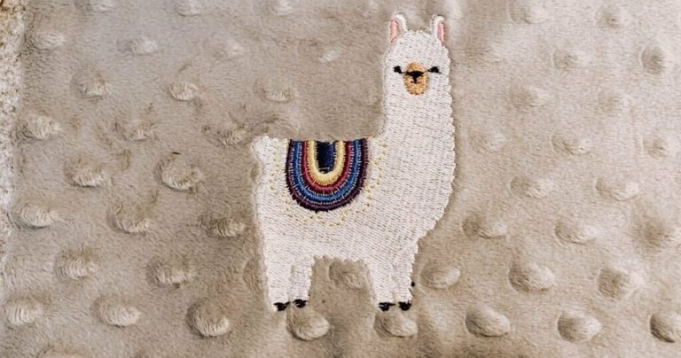 Machine Embroidery on Minky Fabric Featured Image